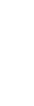 イベントチラシ情報